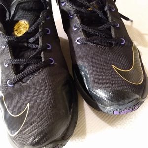 LeBron James 13 prodigal goat basketball sneakers